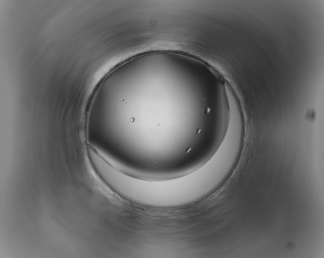 X0000111241342200907161331