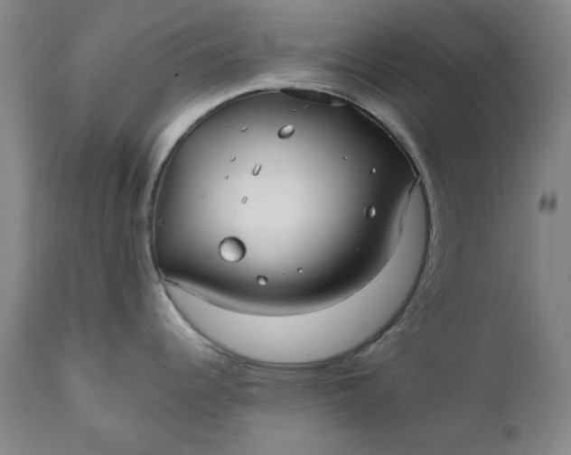 X0000111241344200907161331