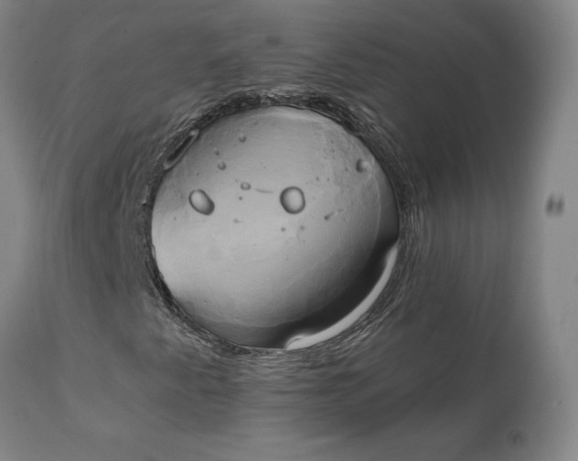 X0000111241345200907161331