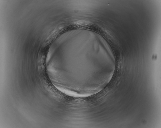 X0000111241346200907161331