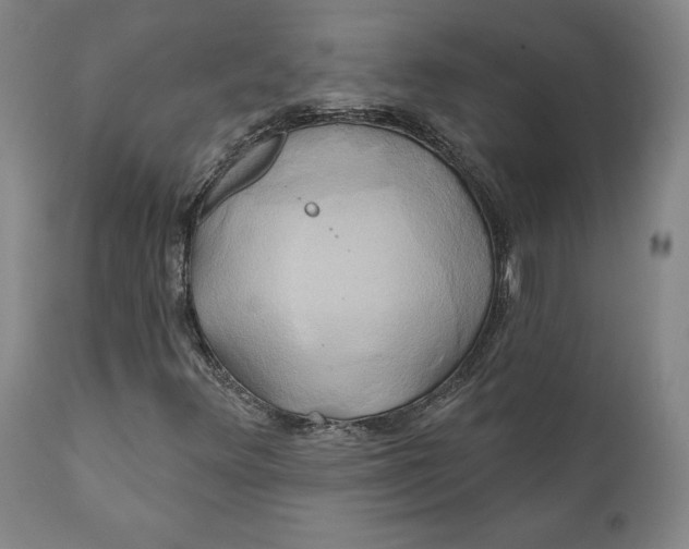 X0000111241348200907161331