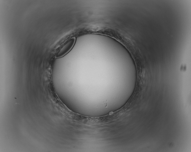 X0000111241349200907161331