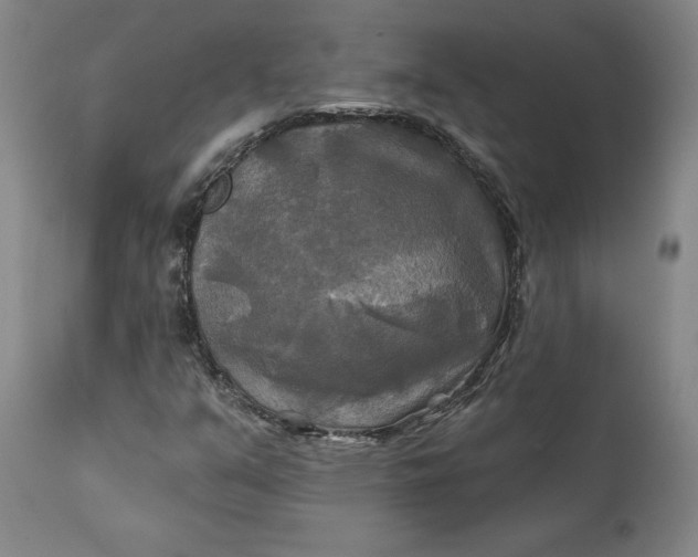 X0000111241351200907161331