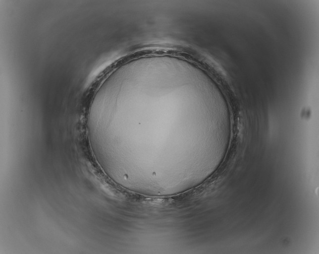 X0000111241352200907161331