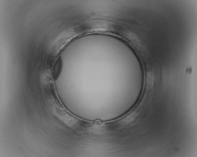 X0000111241353200907161331