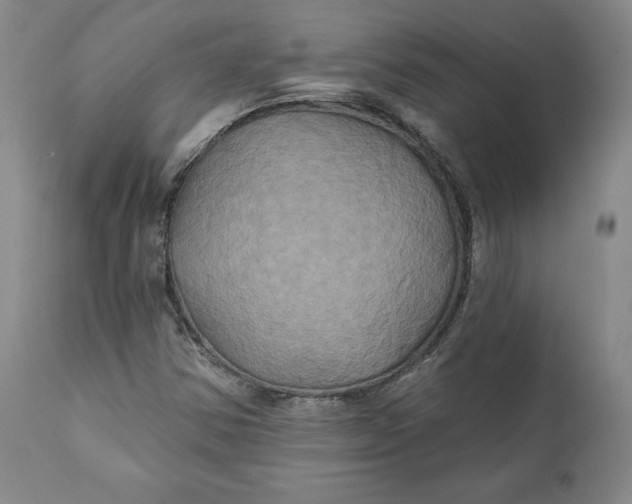 X0000111241354200907161331