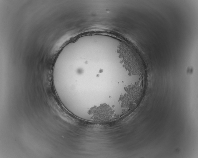 X0000111241355200907161330