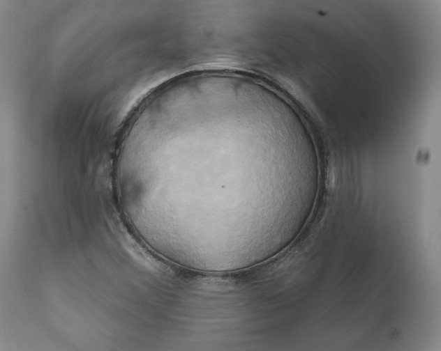 X0000111241356200907161330