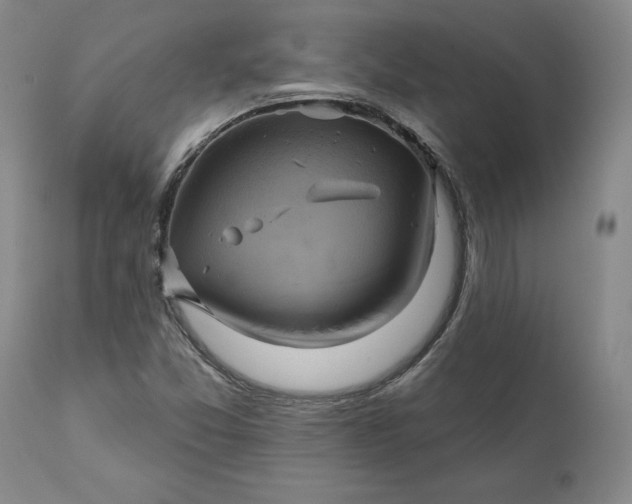 X0000111241357200907161330