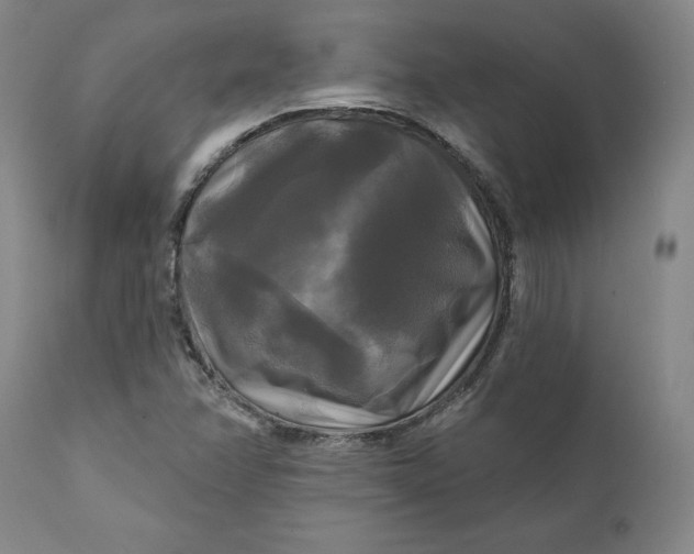 X0000111241358200907161330