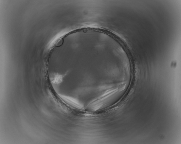 X0000111241359200907161330