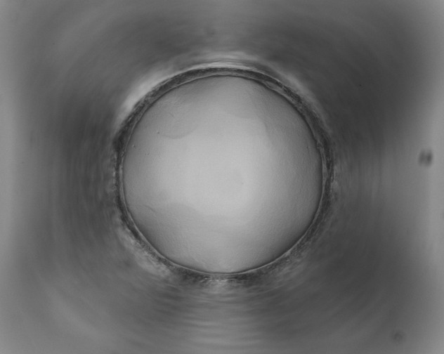 X0000111241360200907161330