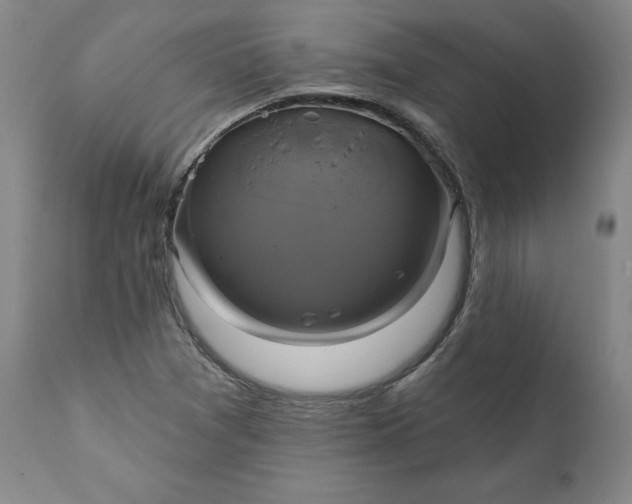 X0000111241361200907161330