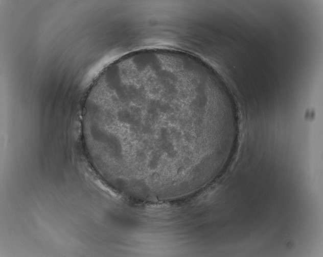 X0000111241363200907161330