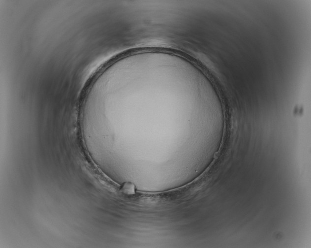 X0000111241364200907161330