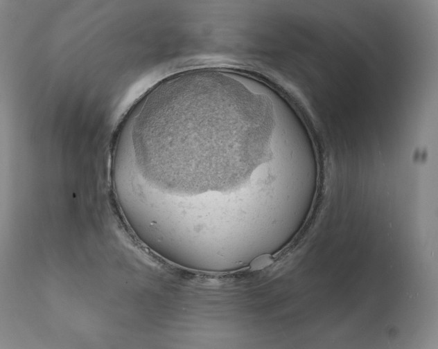 X0000111241365200907161330