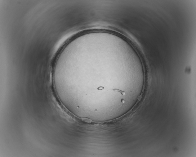 X0000111241368200907161330