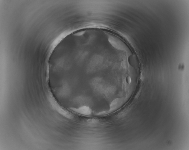 X0000111241371200907161330