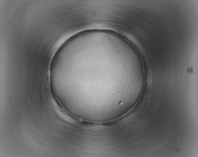 X0000111241372200907161330