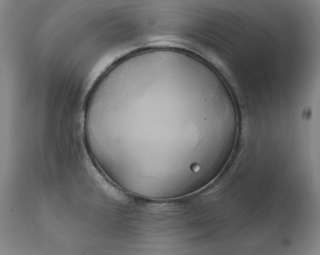 X0000111241376200907161330