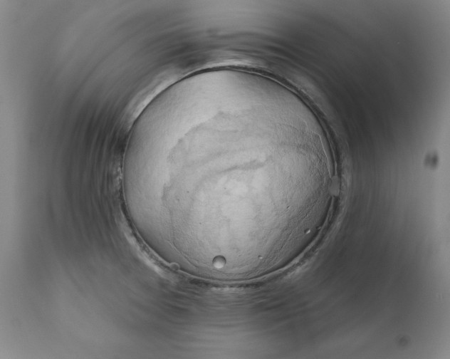 X0000111241377200907161330