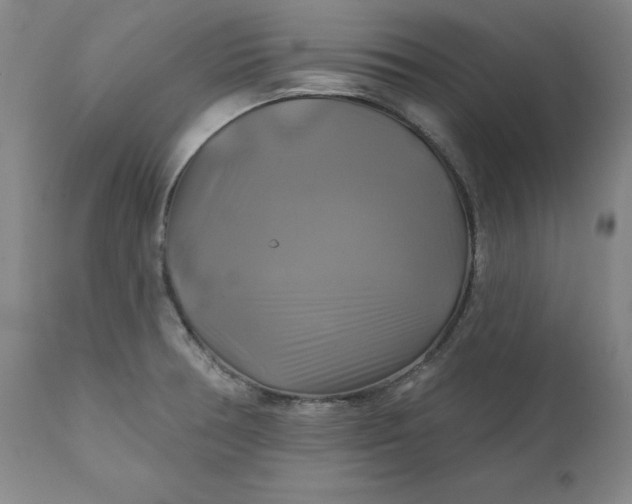 X0000111241378200907161330