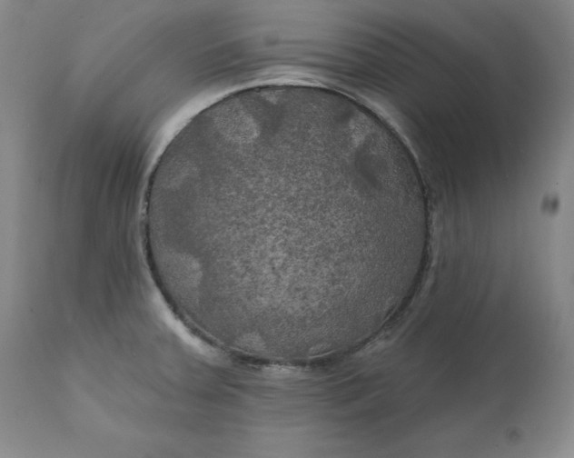 X0000111241379200907161330