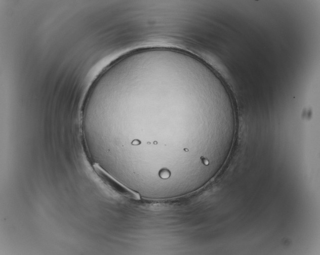 X0000111241380200907161330