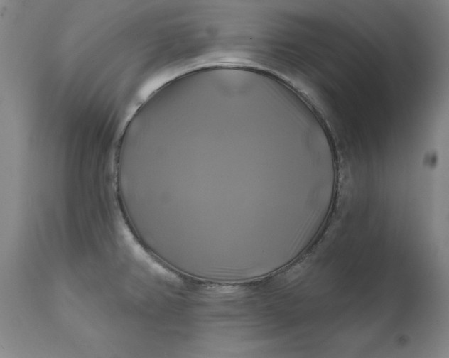 X0000111241382200907161330