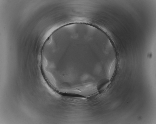 X0000111241383200907161330