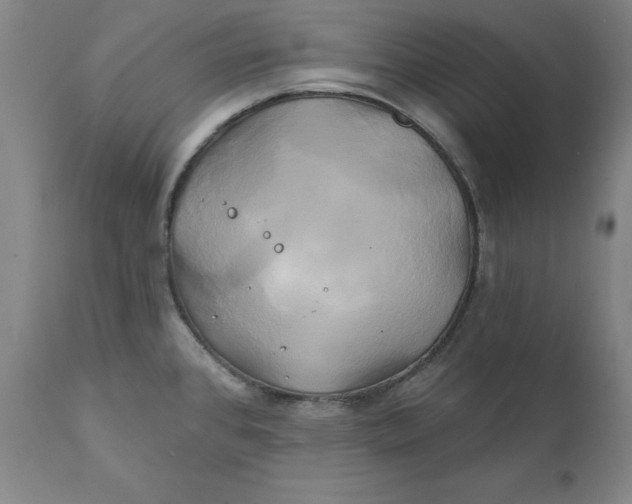 X0000111241384200907161330