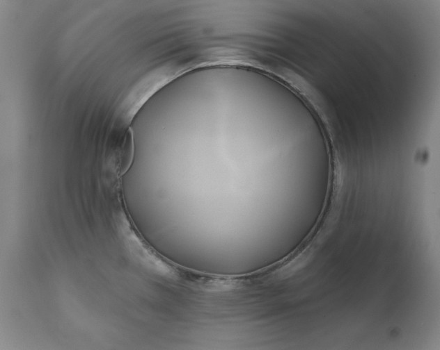 X0000111241385200907161330