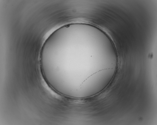 X0000111241387200907161330