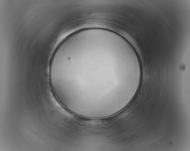 X0000111241388200907161330