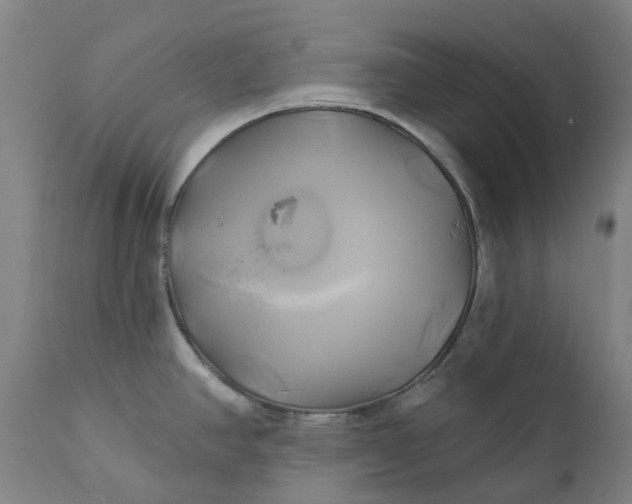 X0000111241390200907161330