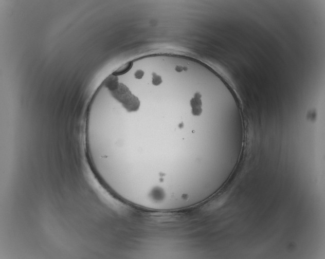 X0000111241391200907161330