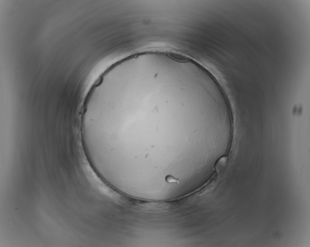 X0000111241392200907161330