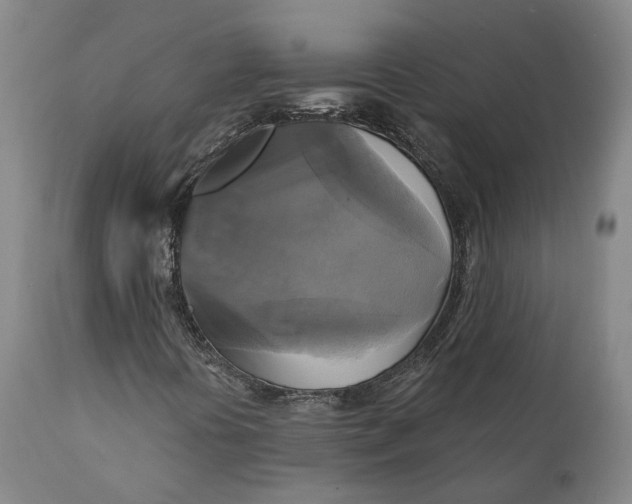 X0000111241394200907161329