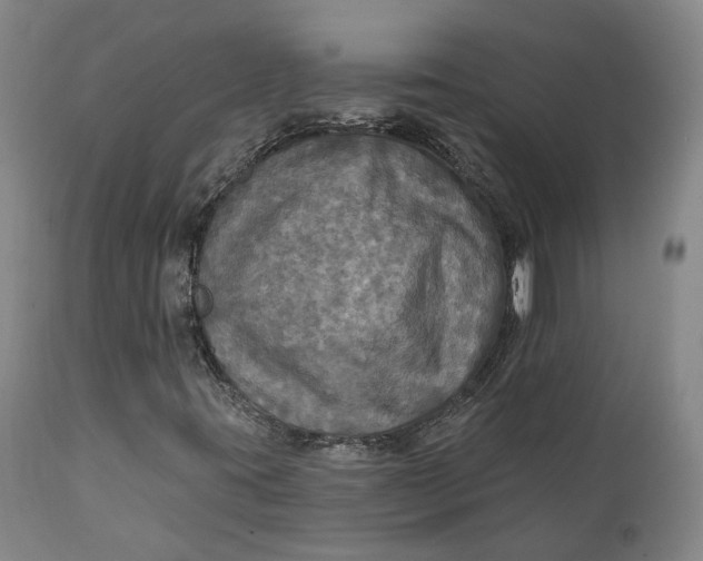 X0000111241395200907161329