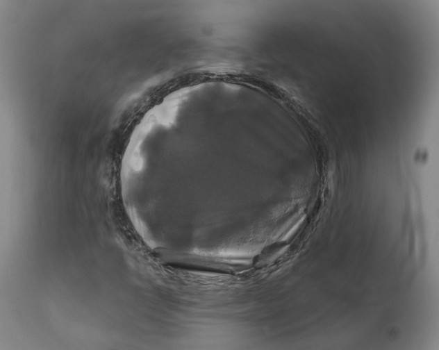 X0000111241398200907161329