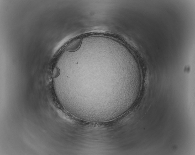 X0000111241400200907161329