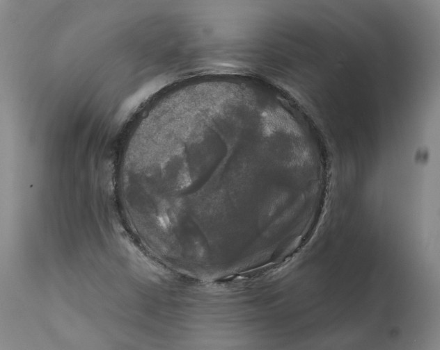 X0000111241402200907161329