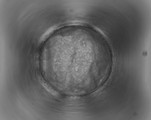 X0000111241403200907161329