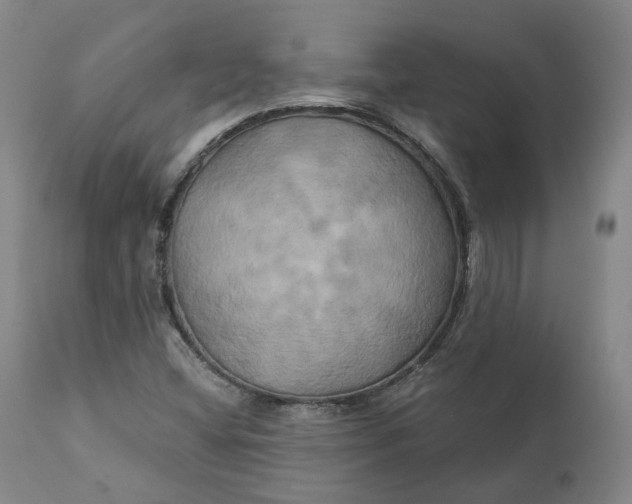 X0000111241404200907161329