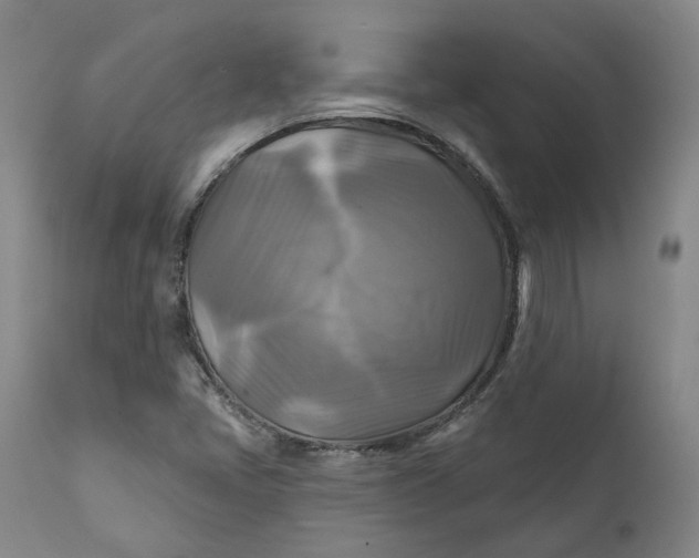 X0000111241405200907161329