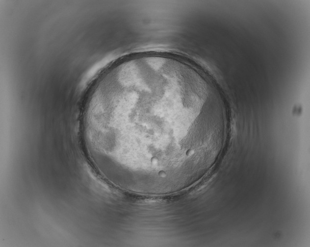 X0000111241406200907161330