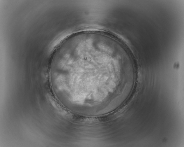 X0000111241407200907161330