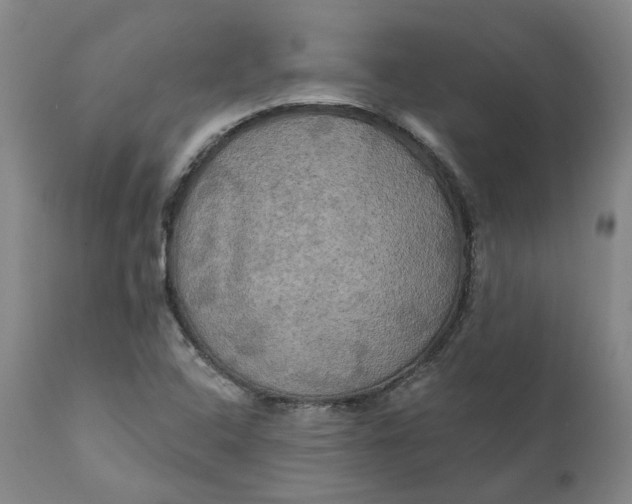 X0000111241408200907161330