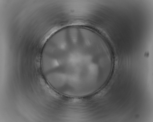 X0000111241409200907161330