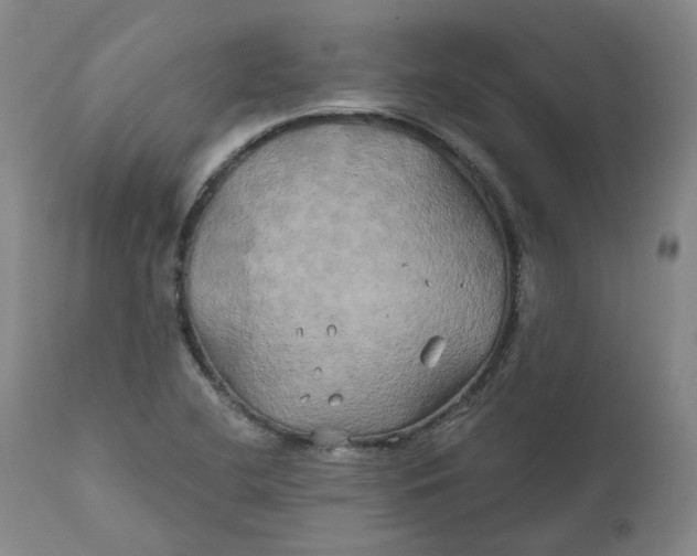 X0000111241412200907161330